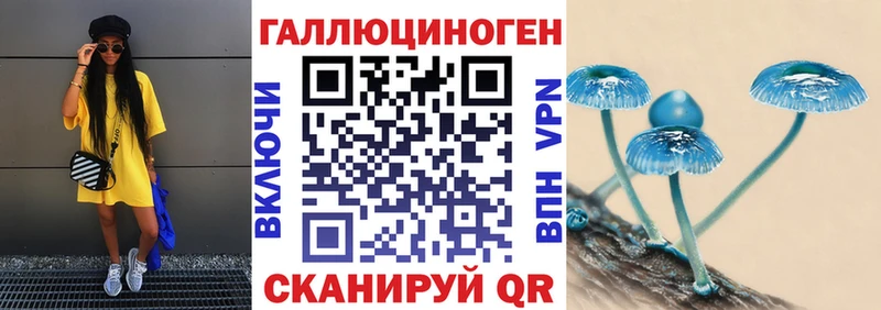 Псилоцибиновые грибы GOLDEN TEACHER  магазин    Великий Новгород 